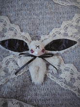 Load image into Gallery viewer, Bunnicula