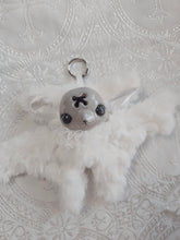 Load image into Gallery viewer, Cora