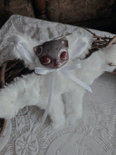 Load image into Gallery viewer, Candy Cat