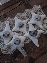 Load image into Gallery viewer, Abundance Mystery Box