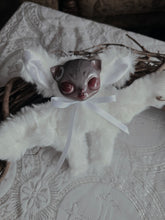 Load image into Gallery viewer, Candy Cat