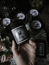 Load image into Gallery viewer, Casket Kitten