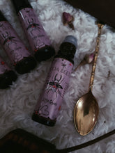 Load image into Gallery viewer, Cocoa Beetles