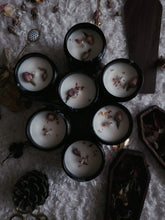 Load image into Gallery viewer, Cocoa Beetles