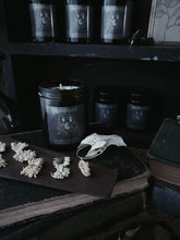 Load image into Gallery viewer, Afterlife