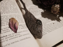 Load image into Gallery viewer, Sybill Wand