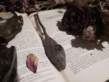 Load image into Gallery viewer, Sybill Wand