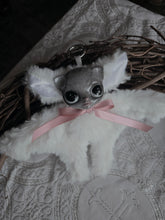 Load image into Gallery viewer, Speckled Cat-Bat
