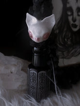 Load image into Gallery viewer, Albino Batling
