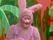 Load image into Gallery viewer, Little Bunny Foo Foo
