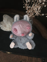 Load image into Gallery viewer, Pink Bear Lameep
