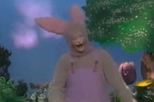 Load image into Gallery viewer, Little Bunny Foo Foo
