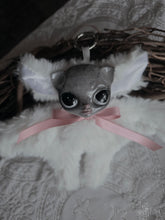 Load image into Gallery viewer, Speckled Cat-Bat
