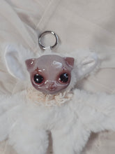Load image into Gallery viewer, Vampire-cat-bat

