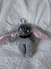 Load image into Gallery viewer, Bby Raccoon
