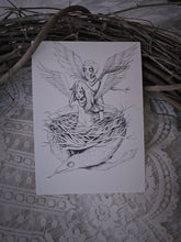 Load image into Gallery viewer, Hippogriff's Nest
