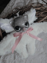 Load image into Gallery viewer, Speckled Cat-Bat
