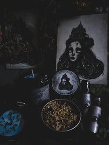 Haunted Tea Parlor Collection